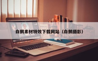 盱眙白鹅素材特效下载网站（白鹅摄影）